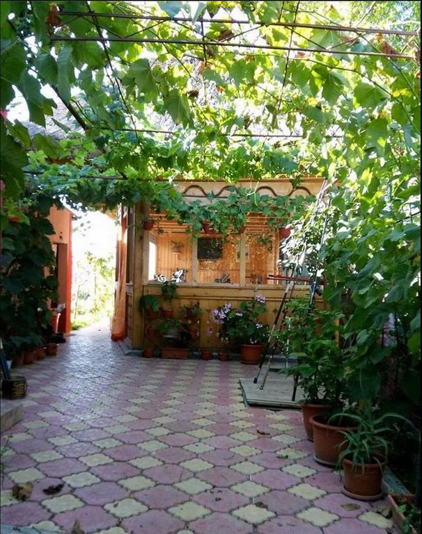 Casa Calin Hotel Crisan  Bagian luar foto